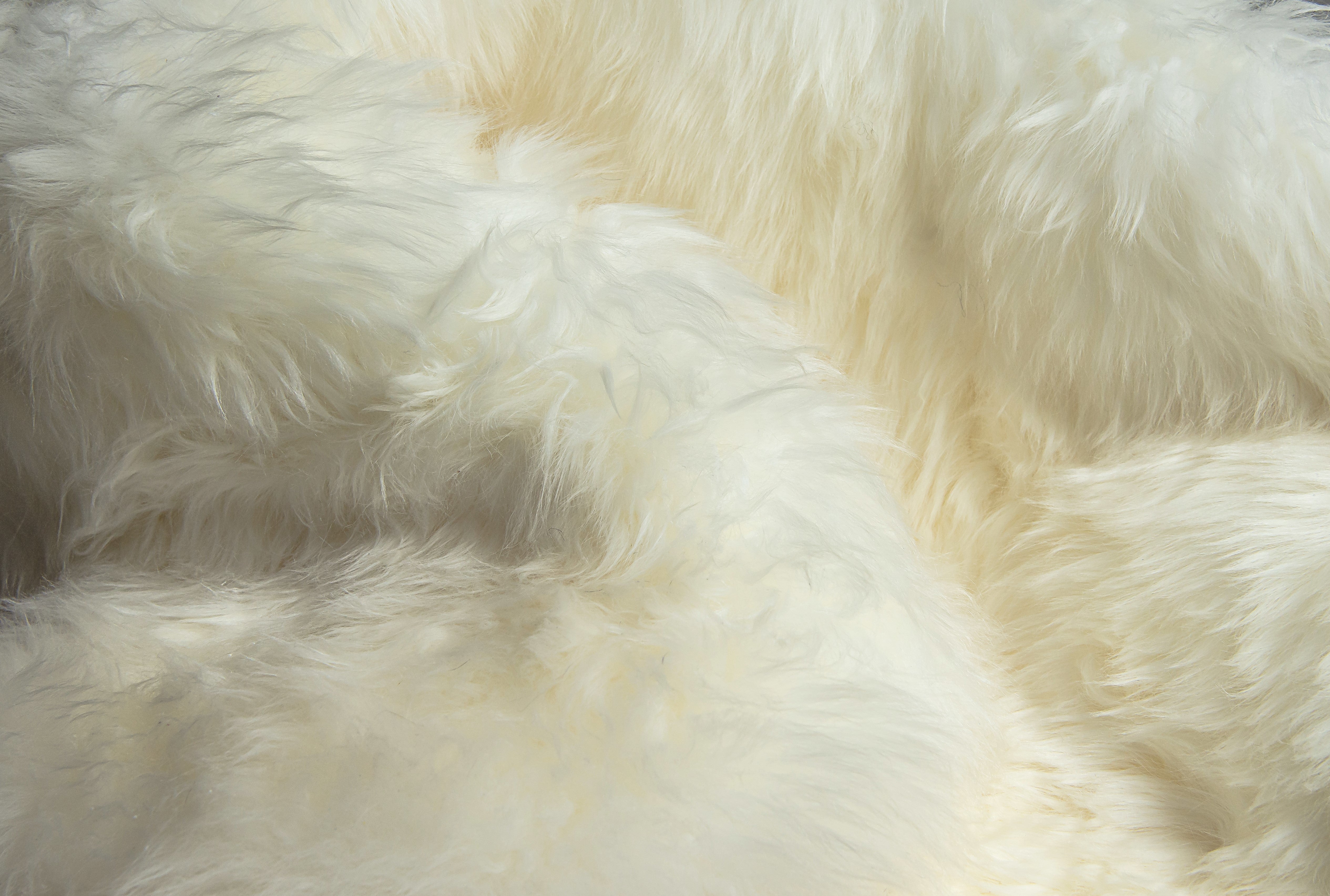 Natural Home Decor New Zealand Sheepskin Sexto Rug 5'X6'