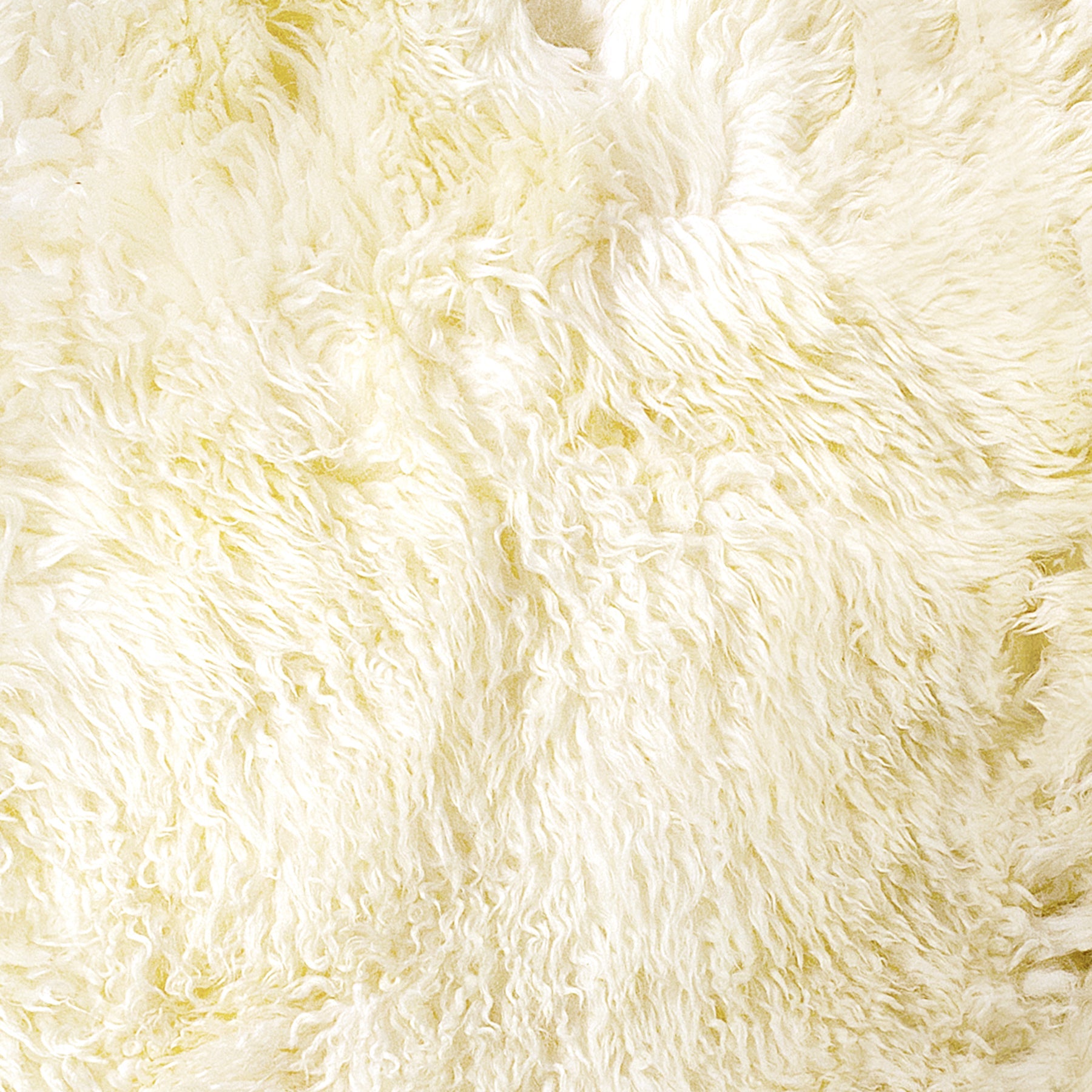 Natural New Zealand Sheepskin Double Curly Rug | 2'x6'