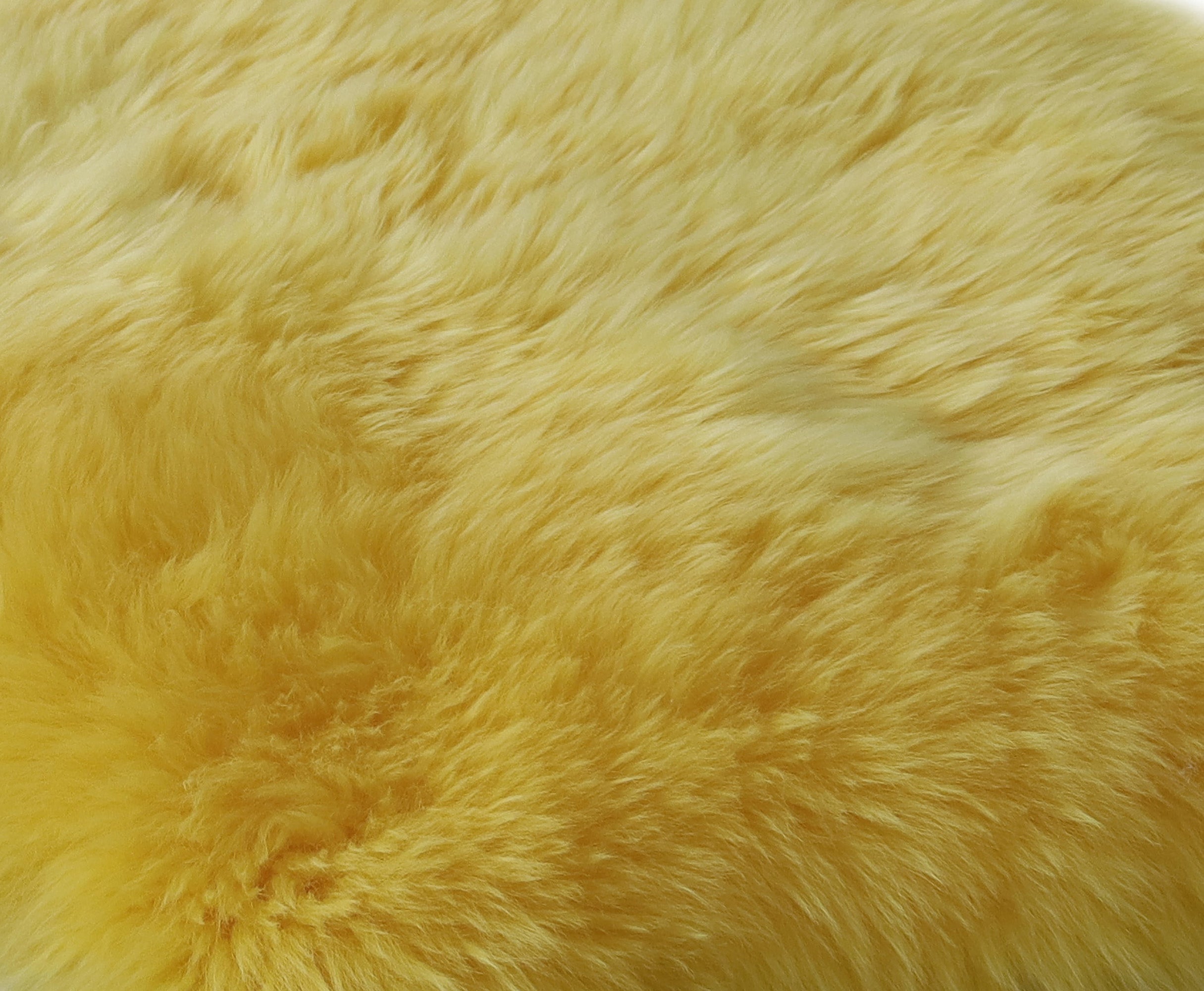 Natural Milan Sheepskin Single Rug | 2'x3' | B
