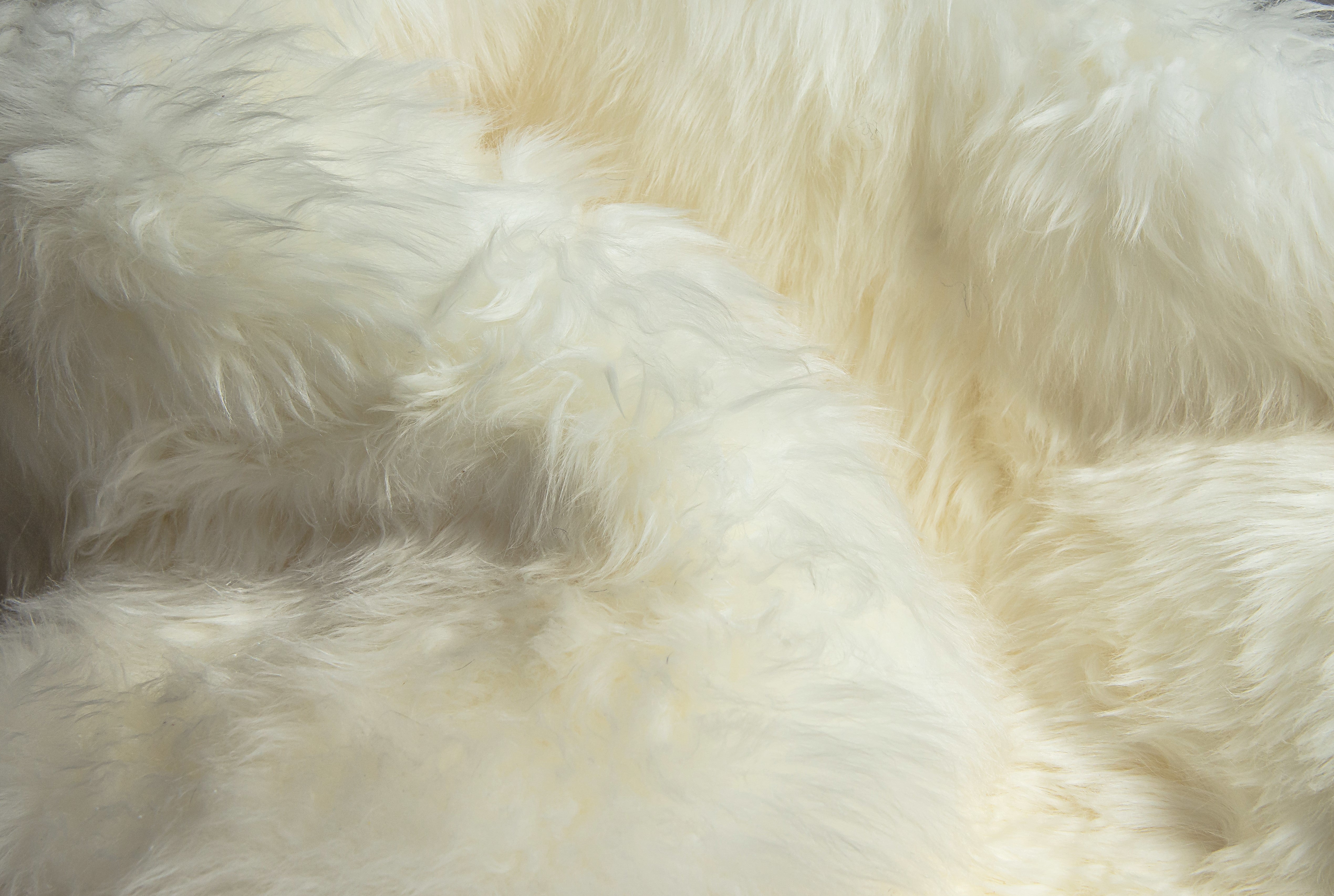 Natural Milan Sheepskin Double Rug | 2'x6'